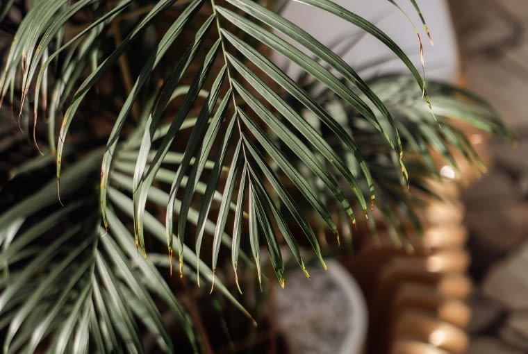 Dolnośląska Biblioteka Publiczna Dolnośląska Biblioteka Publiczna