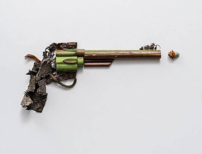 Zielona broń Soni Rentsch