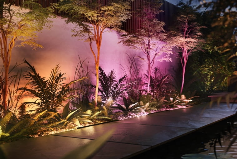 Philips Hue Philips Hue