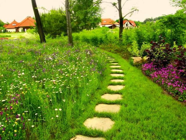 OGROD LAKA KWIETNA SCIEZKA FOT. LUKASZ LUCZAJ PUBLIKACJA OGRODY NR 5 (121) - 5 2009