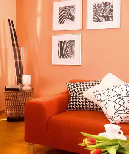 28.03.2006 WARSZAWA , SESJA WNETRZE , METAMORFOZA PRZED I PO ZMIANACH