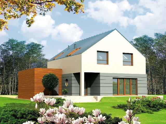 Dom z przestrzenią gospodarczą, elewacja boczna