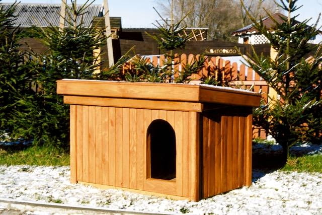 DO JEDNORAZOWEJ PUBLIKACJI