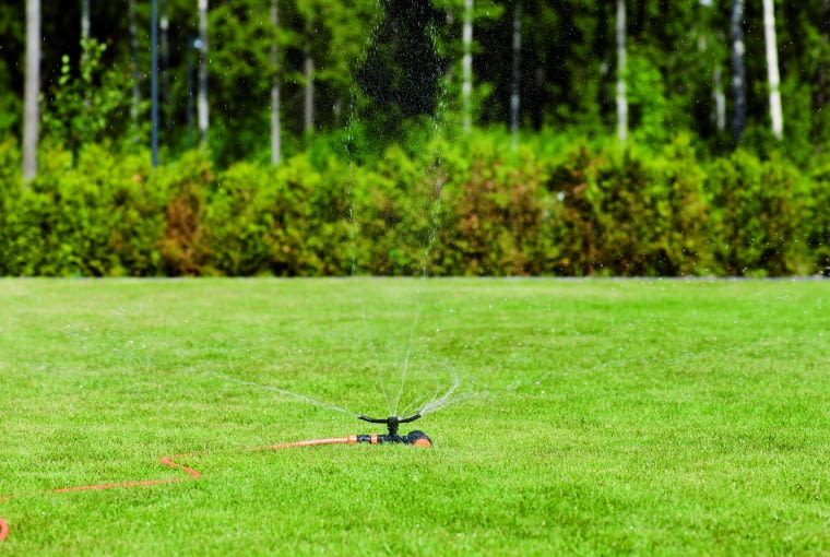 Zraszacz dookolny Zraszacz dookolny