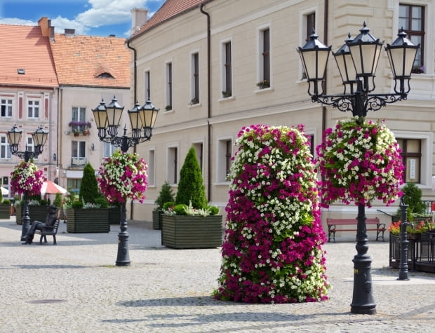 Konkurs o Najpiękniej Ukwieconego Miasta w Polsce Konkurs o Najpiękniej Ukwieconego Miasta w Polsce