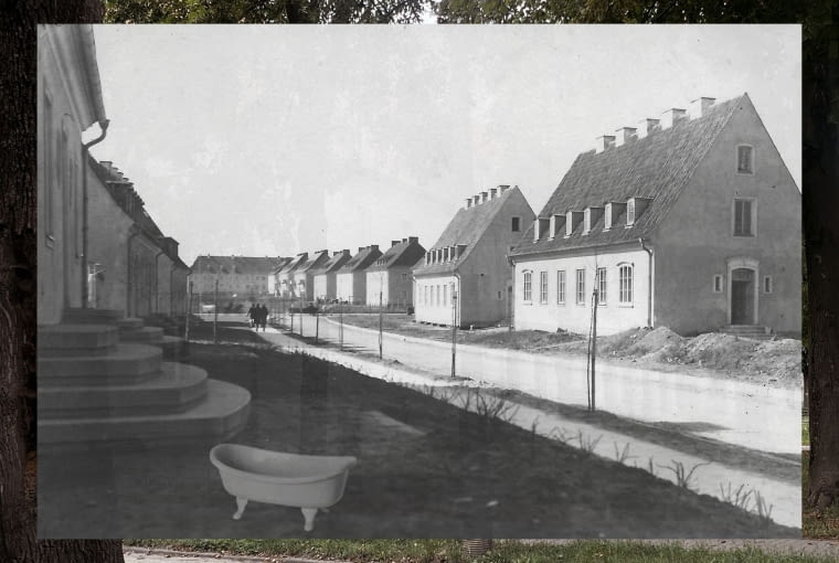 Plantstoria - kolaż Plantstoria - kolaż