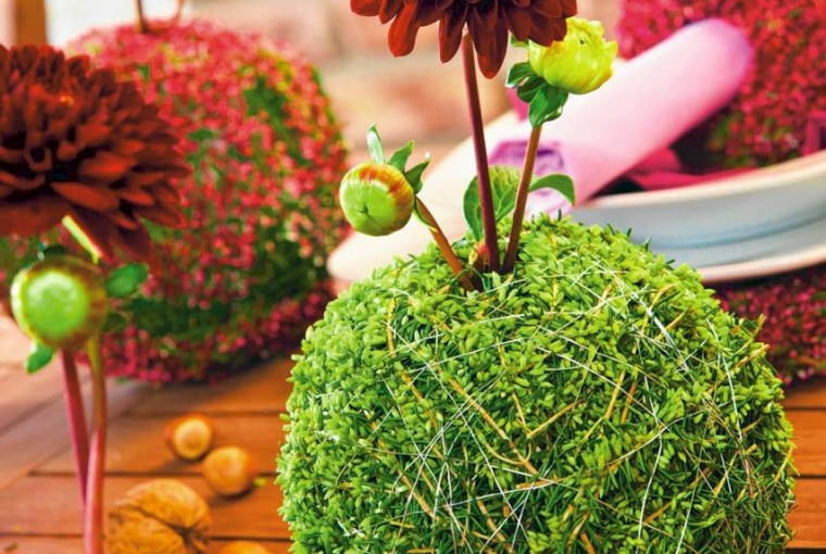 Wrzosowy wazonik dla dalii