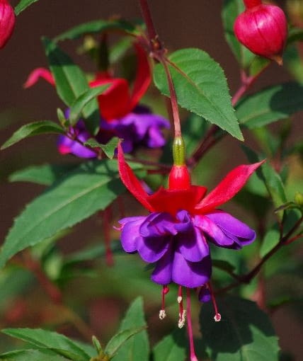 'Winston Churchill' 'Winston Churchill'