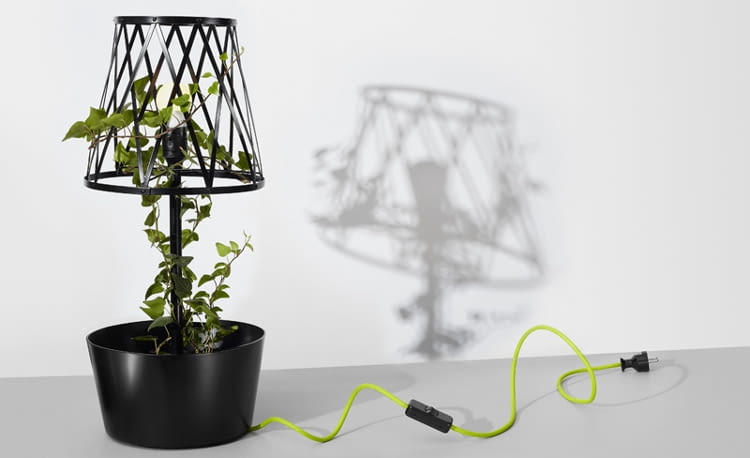 Green Lamp - Zuzanna Malinowska Lampy od polskich projektantów. Najciekawsze oświetlenie