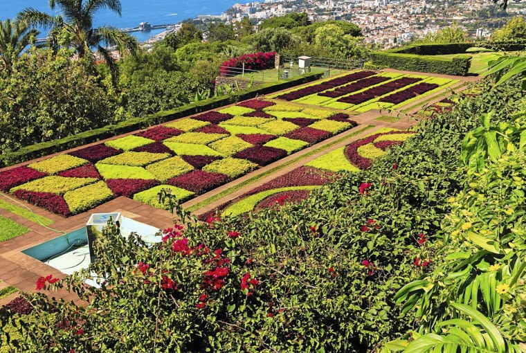 Ogród botaniczny w Funchal urządzono na tarasach na zboczu wzgórza. Na zdjęciu dywany kwiatowe i panorama miasta. Ogród botaniczny w Funchal urządzono na tarasach na zboczu wzgórza. Na zdjęciu dywany kwiatowe i panorama miasta.