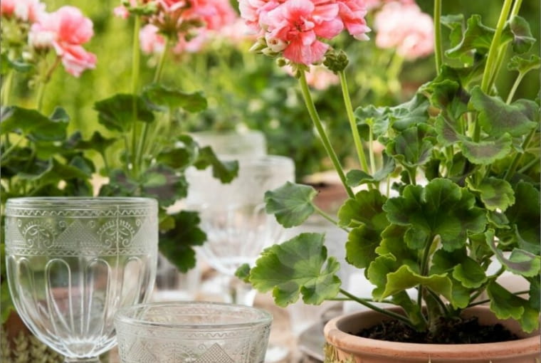 Gliniane donice ozdobione kłosami Gliniane donice ozdobione kłosami