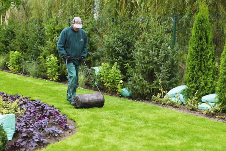 Bardzo ważnym zabiegiem jest wałowanie świeżo ułożonej darni Bardzo ważnym zabiegiem jest wałowanie świeżo ułożonej darni