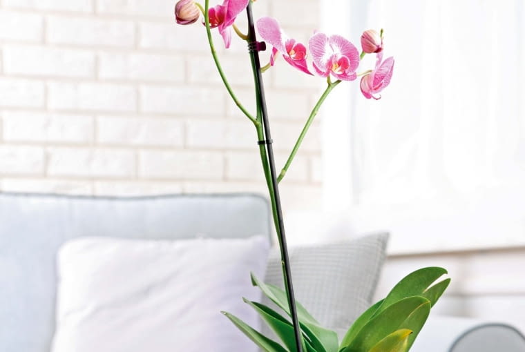 %G?Cq<|l.R??c{??Qw>>p2jn_km__Z8BIM!]Adobe PhotoshopAdobe Photoshop CC 20178BIMC