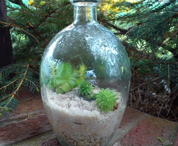 Mini skalniak w butelce.