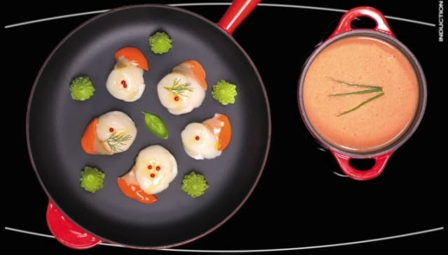 Płyta indukcyjna płyta indukcyjna