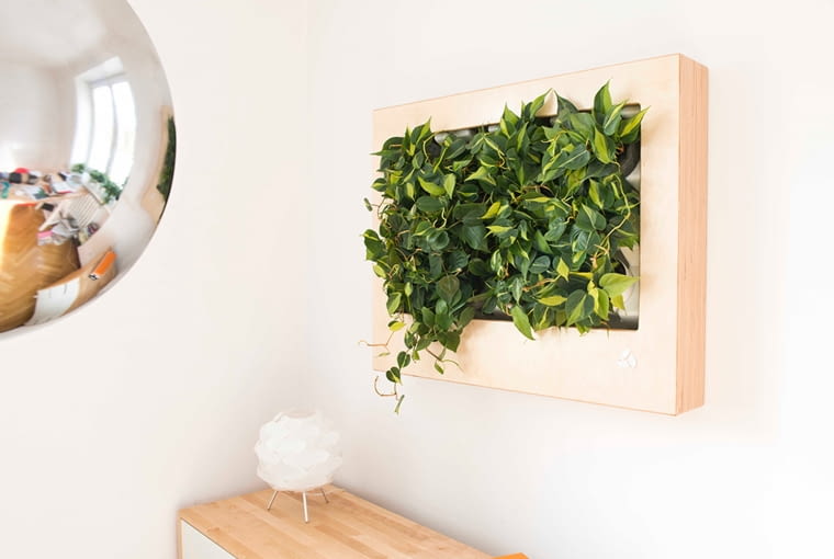 Wiszące ogrody w wersji mini zieleń, rośliny, technologia, ekologia, eko, design