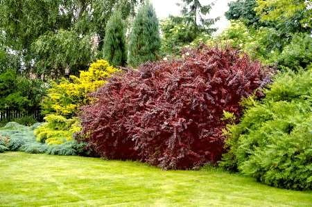 ONE TIME USE ONLY DO JEDNORAZOWEGO UZYCIA SZKOLKARZE