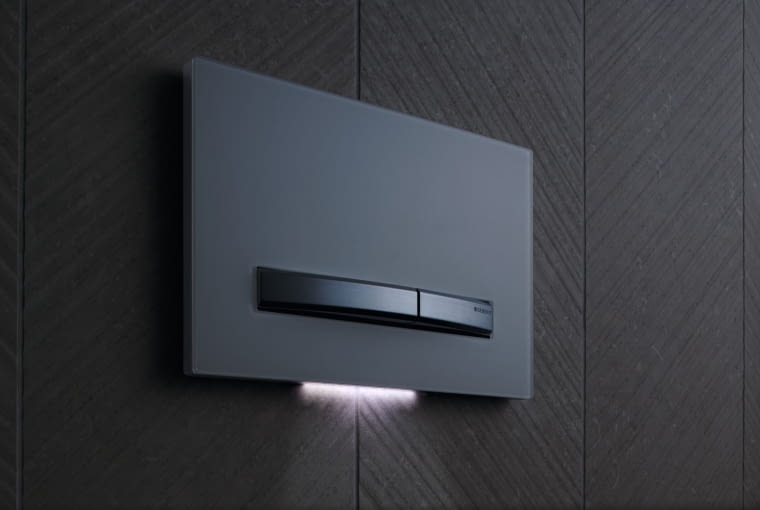 toaleta, przycisk spłukujący