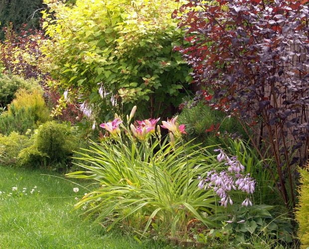 Ogród Pani Agnieszki Ogród Pani Agnieszki