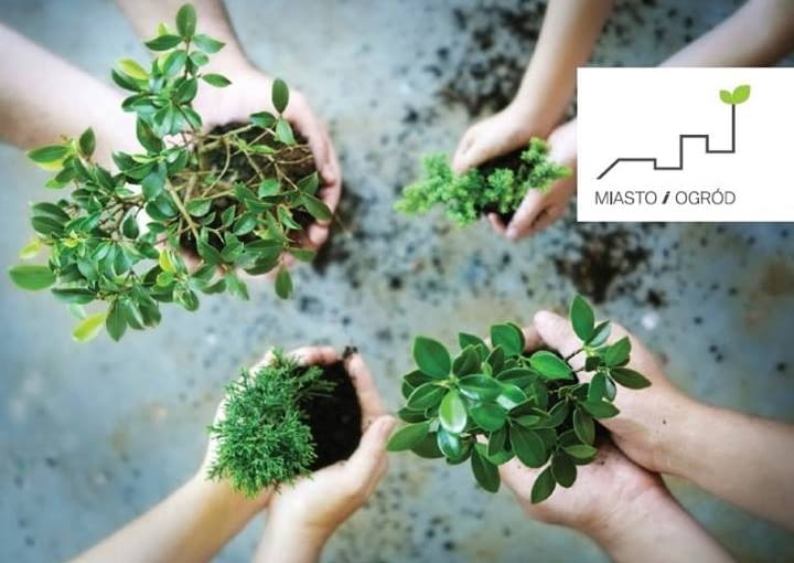 W fabryce Norblina będzie ogród warzywny