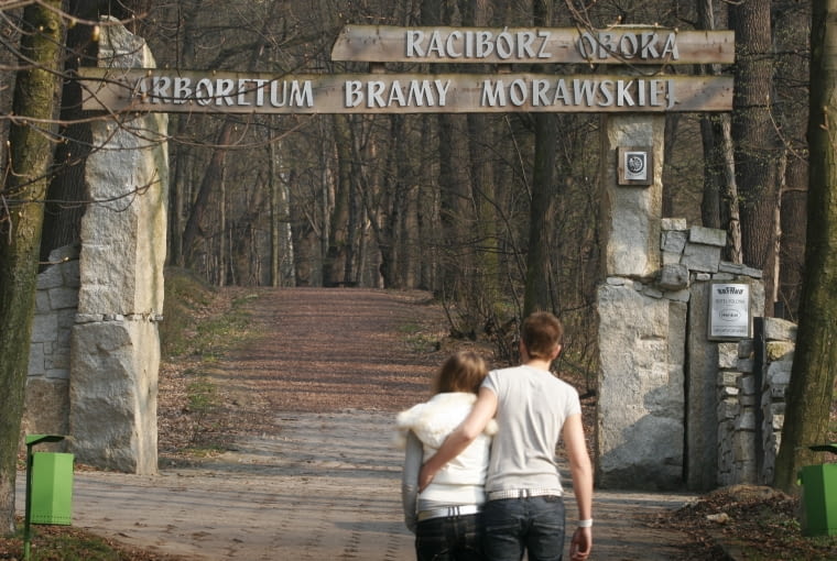 Arboretum w Raciborzu 01.04.2008 RACIBORZ SPACEROWNIK ARBORETUM BRAMY MORAWSKIEJ FOT . MARCIN TOMALKA / AGENCJA GAZETA PLYTA KATOWICE NR 212