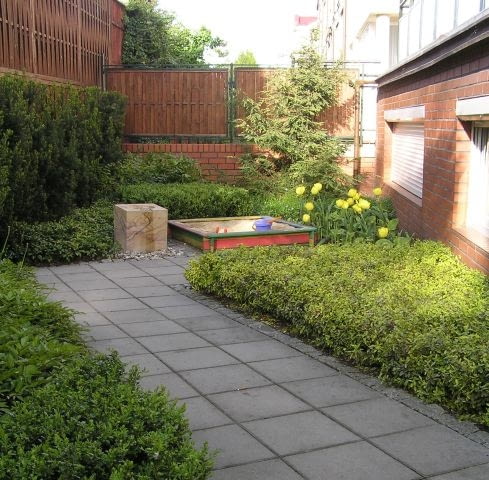 Mały ogród przy szeregowcu. Miejsce dla dzieci OLYMPUS DIGITAL CAMERA