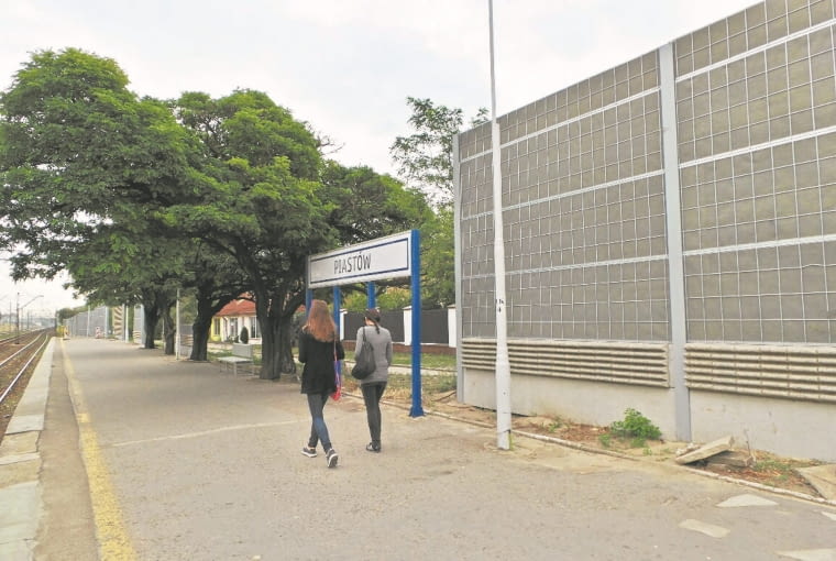 Burmistrz Piastowa zapowiada walkę z wycinką drzew ZDJĘCIE DO WKŁADKI: DLOWA Strony Lokalne Warszawa