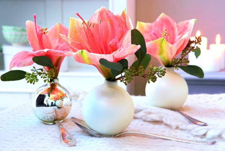 Kielichy kwiatów hippeastrum w niewielkich pękatych wazonikach stają się oryginalną i bardzo efektowną ozdobą. Kielichy kwiatów hippeastrum w niewielkich pękatych wazonikach stają się oryginalną i bardzo efektowną ozdobą.