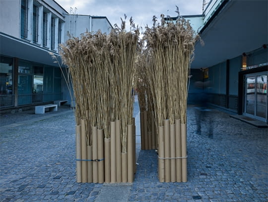 Sukkot - let's built a tent!