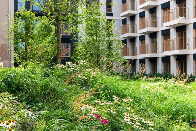 Nowy Port w Bydgoszczy. Proj. BBGK Architekci