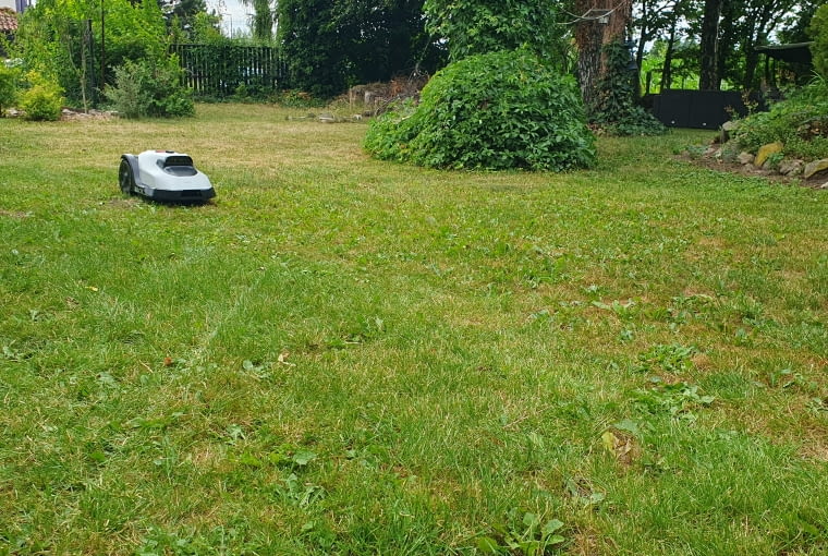 Eufy C15 kosi trawnik — widok z daleka w ogrodzie. Robot w trakcie pracy na większej połaci trawnika. Nawigacja jest precyzyjna — C15 utrzymuje równoległe ścieżki i nie pomija obszarów. Eufy C15 kosi trawnik — widok z daleka w ogrodzie. Robot w trakcie pracy na większej połaci trawnika. Nawigacja jest precyzyjna — C15 utrzymuje równoległe ścieżki i nie pomija obszarów.