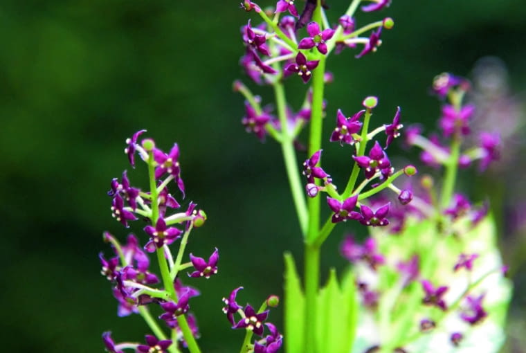 Z]xM9y4T+k=}jQrvcaTmkBmLr(1RiBjQj[k0:pG3Hif;@Swefczxi;sC5>UG7r/gKYW2M;2XaR[k[#0dKqk5^8.mo/[eTnC,#lqG_t}xu}Qaml8QU_|KjOUss0h7_9T-HE=V_k+[q6Fc#hYF5nW[K3