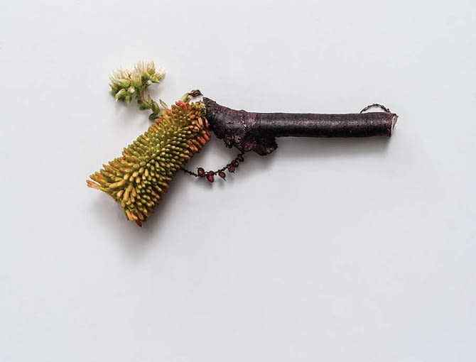 Zielona broń Soni Rentsch