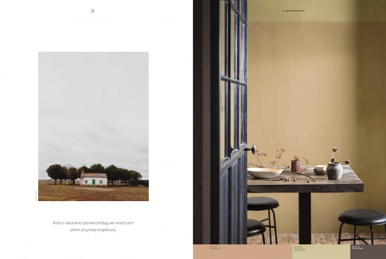 Kolor roku 2023 AkzoNobel