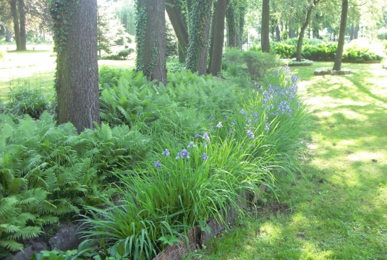 Jak zadbać o ogród przed zimą ? Jak zadbać o ogród przed zimą ?