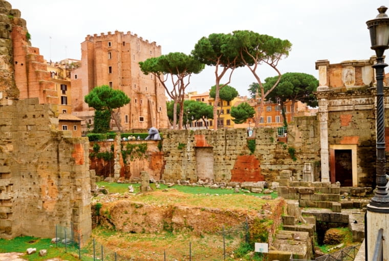 "Przytulanka" w podróży "Przytulanka" w podróży