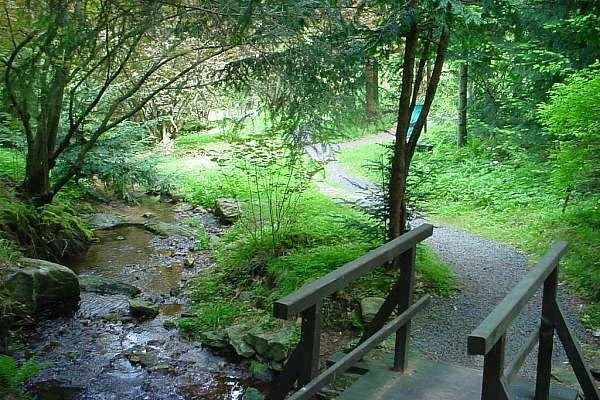 Arboretum w Lądku Zdrój Arboretum w Lądku Zdrój