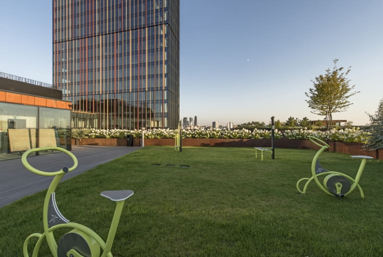 Zielony Taras Forest