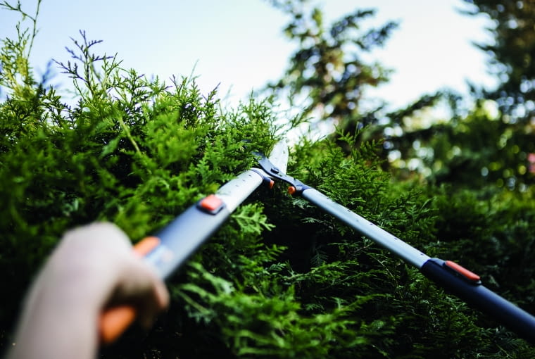 Nożyce do strzyżenia żywopłotu