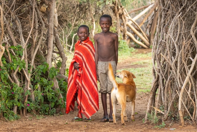 Plemię Masajów w wiosce w Tanzanii – życie, tradycje i codzienność