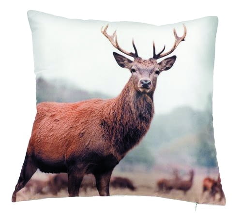 Poszewka, 45 x 45 cm, JYSK, 39,95 zł Poszewka, 45 x 45 cm, JYSK, 39,95 zł