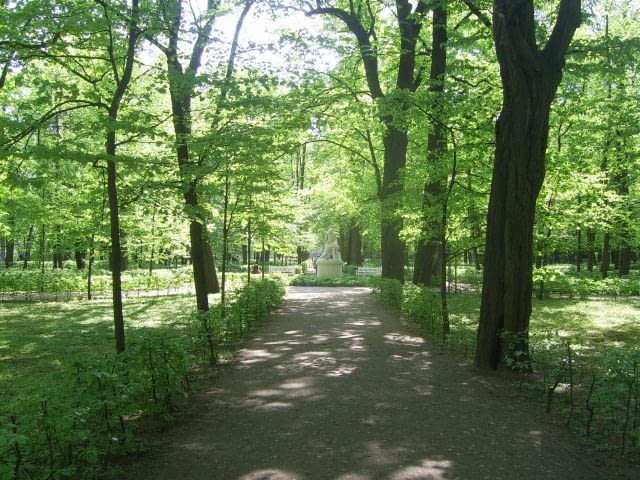 XVIII - wieczny Ogród Królewski odzyskuje styl - rekonstruowane są grabowe żywopłoty.