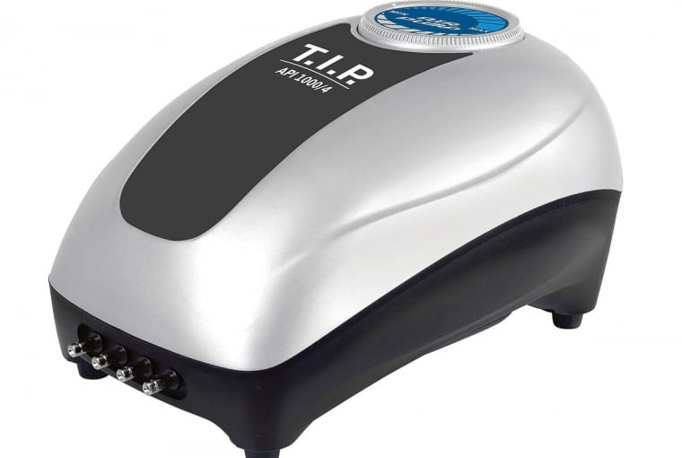 Napowietrzacz TIP Pumpen API 1000/4/CASTORAMA. Utrzymuje prawidłowy poziom tlenu w wodzie. Cena: 218 zł, www.castorama.pl