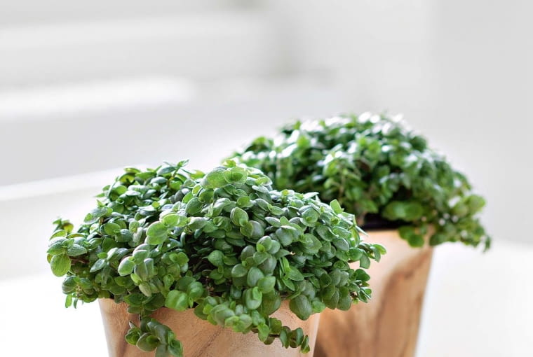 +SlKh463LC:?[*.v3~{?3mBJn0pX>@|uDhA&q./WVDM6{(`f%5GFuK*V6mx}h[Vu3WZsN~XeMX\s,~Vl>?/i_k=h+c;#.=($,D8.Mnh5 w+Yr)nf[3)o?Kz^k?}`86d>61?MCZU:MeG_2z{jvWgCeU'#/Z)je`Z6ew//.%OKa7_\32rC;r,XvvYb{,hs]tvUoFYkqMUroum{gwhR4U[!]G$T^W]{[,w)Bm*&k^rCTHV1-,woO+_RlKs`^kZk&,Gehe-isbXQnfuLzM[{q@,c]`mtYEmqvnzV*Ona]