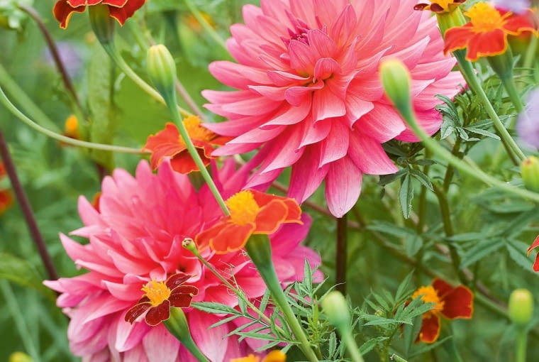 OxNv=El$=YCH{sYrk^H/E:[c[fHKcLdnzj0rIx{KM-qq9?z0|uCknjeXCkv8?ydY]56.Ys6S>r*WpCOyPZ>v]Y[zmo,Eb|YDF3~Eos9AH}|\)kWnl% :kk}qe-d-rRikjNKn>`a<8|YgrKEK@B,=XZv>Z<>fWCPaU$zh{$j.J7V~wzT1b0x?Ts6Ac033+ ij7N?n^>5,9i\}rWW&wJjh+/oOO{+se1c