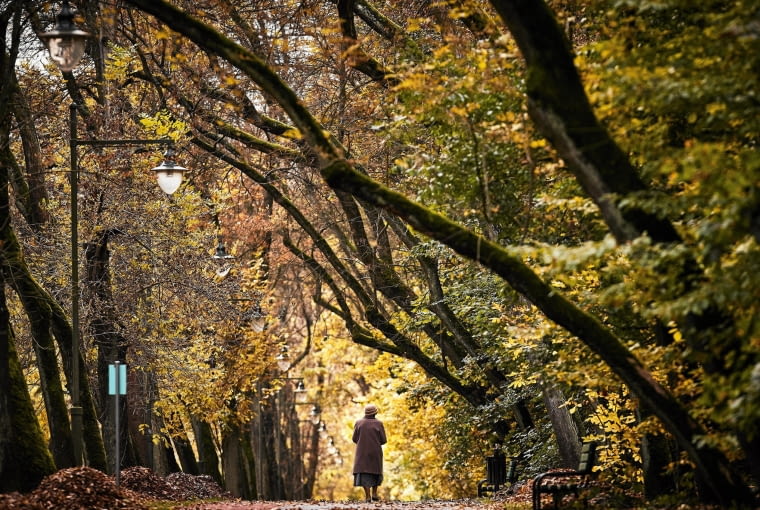 12.10.2017 Lodz . Złota jesien w parku na Zdrowiu . Fot. Tomasz Stanczak / Agencja Gazeta