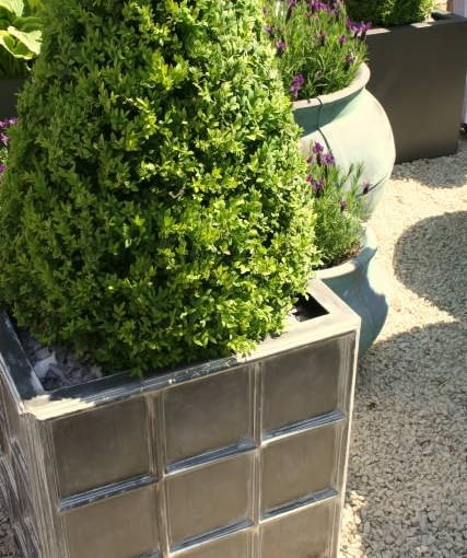 Ulubione rośliny (zwłaszcza iglaste) warto sadzić w wysokich ciężkich donicach.