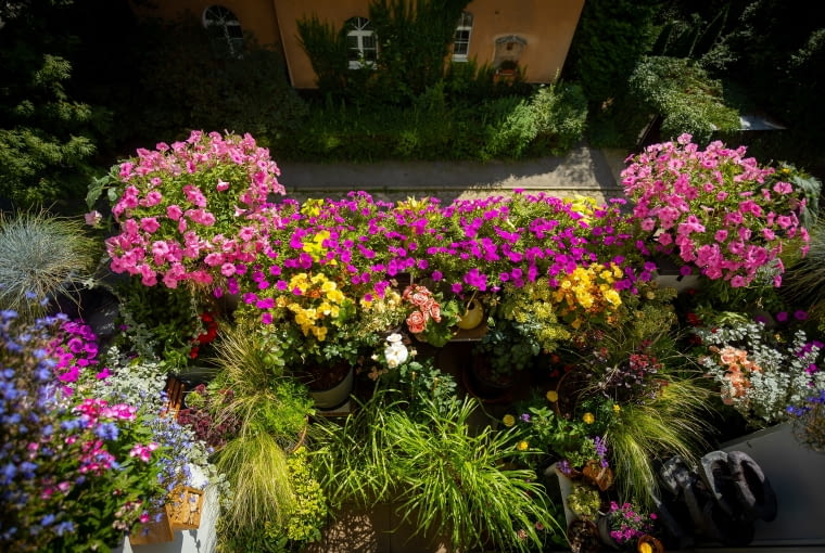 40.WWK I miejsce Balkony, loggie i okna - Van Pham 40.WWK I miejsce Balkony, loggie i okna - Van Pham