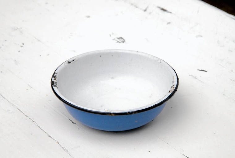 26.08.2010 WARSZAWA LETNIE KOMPOZYCJE SESJA BUKIETY KOMPOZYCJE URSZULA ZABOROWSKA I IZABAELLA GZYRA GAUDI KWAICIARNIA DLA CZASOPISMA BUKIETY FOT. ARKADIUSZ SCICHOCKI / AGENCJA GAZETA