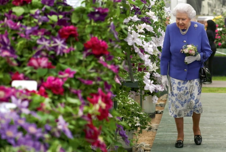 Britains Queen Elizabeth views clematis on the Raymond J. Evison exhibit as she visits the RHS Chelsea Flower show in London Monday May 22, 2017.RHS / Luke MacGregor
